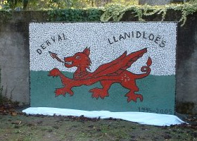Derval Llanidloes Twinning Flag