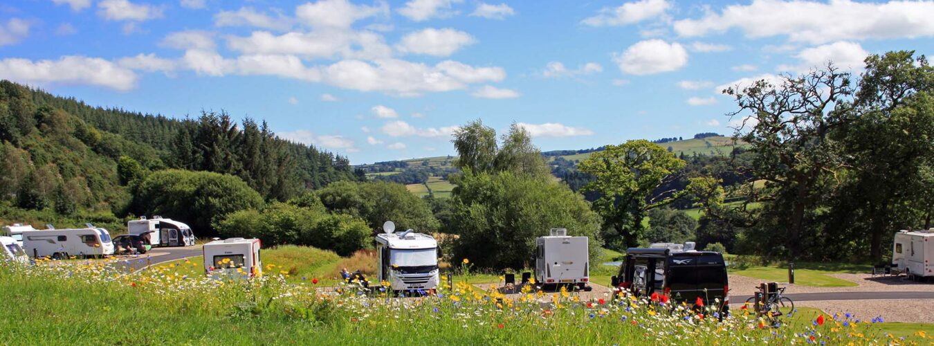 Red Kite Touring Park